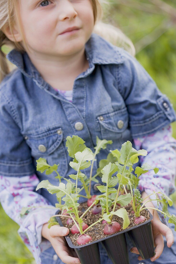 Little girl holding radish plants