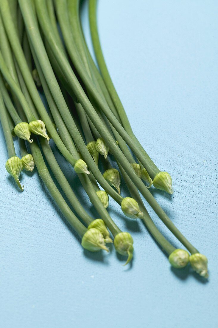 Garlic chives