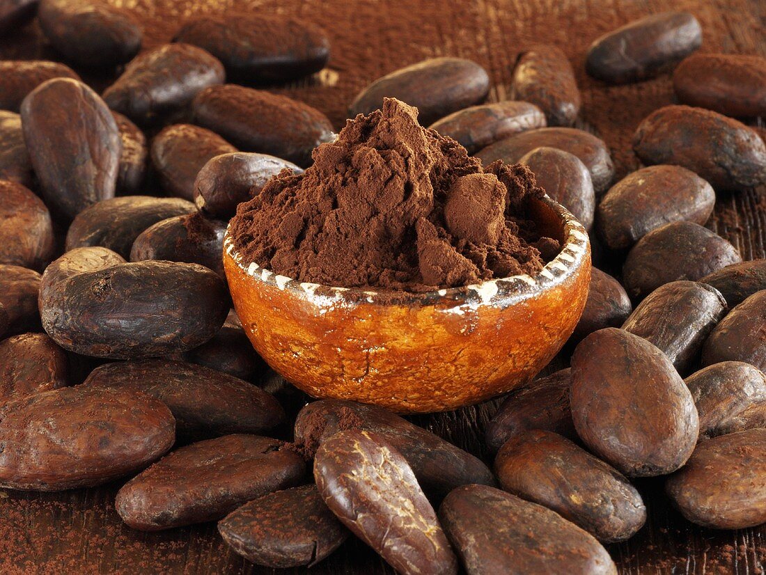 Kakaobohnen und Kakaopulver