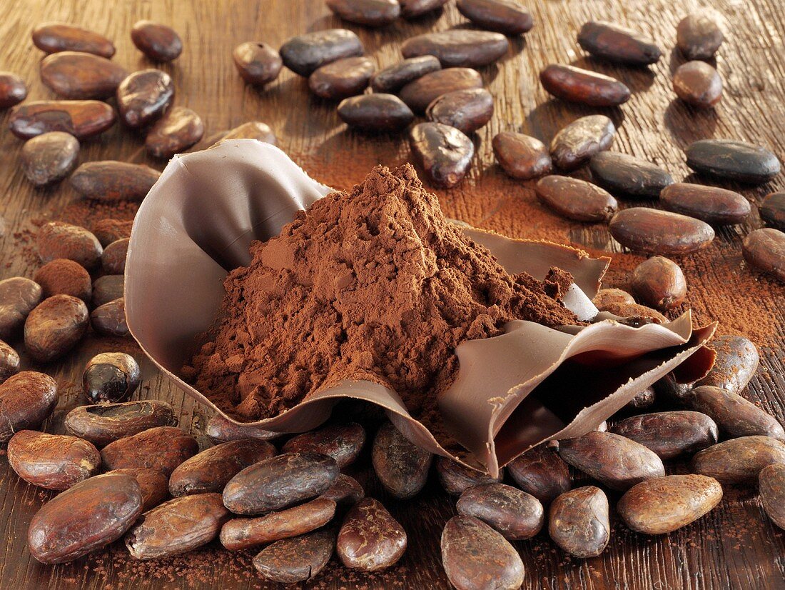 Kakaopulver in Schokoschälchen und Kakaobohnen