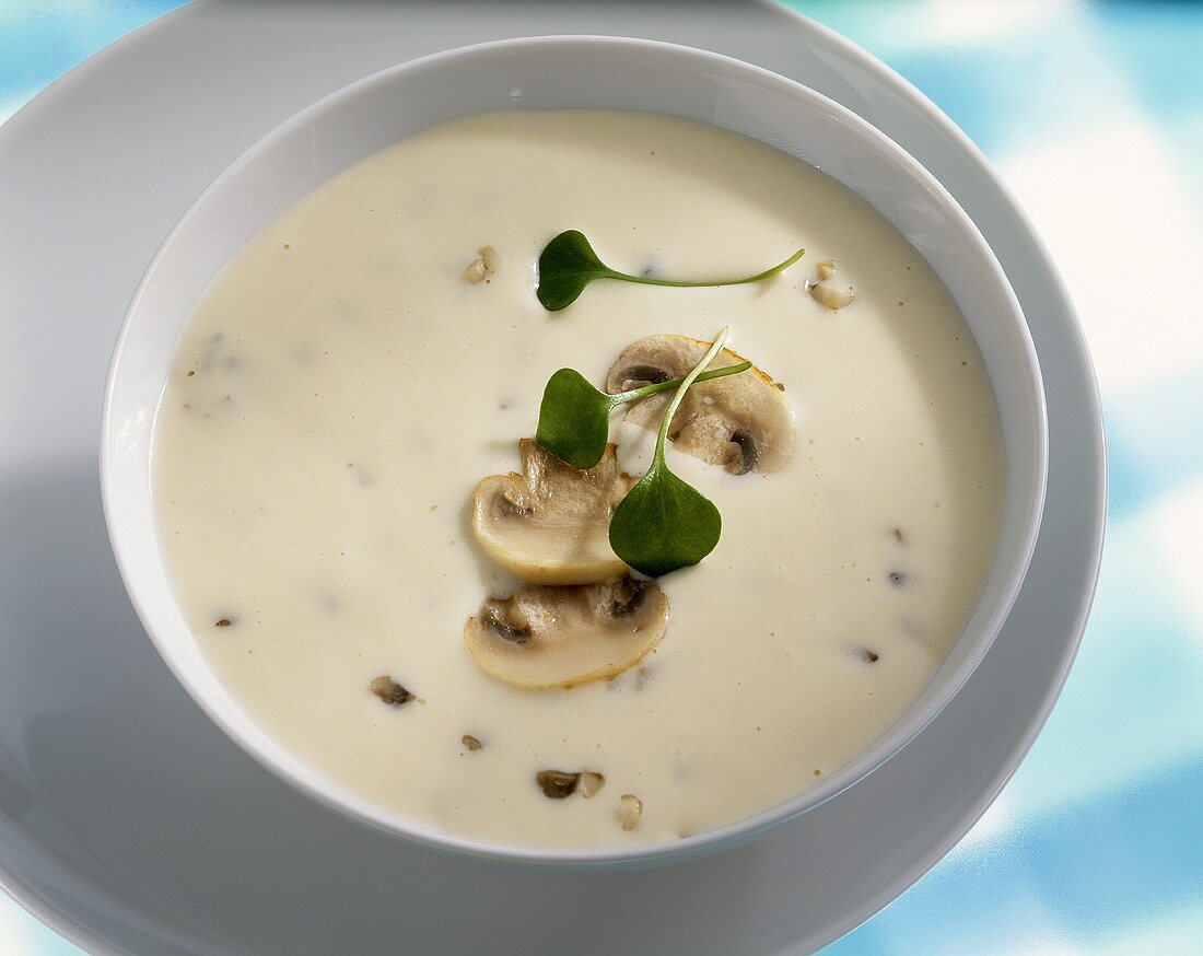 Geflügelveloute mit Champignons