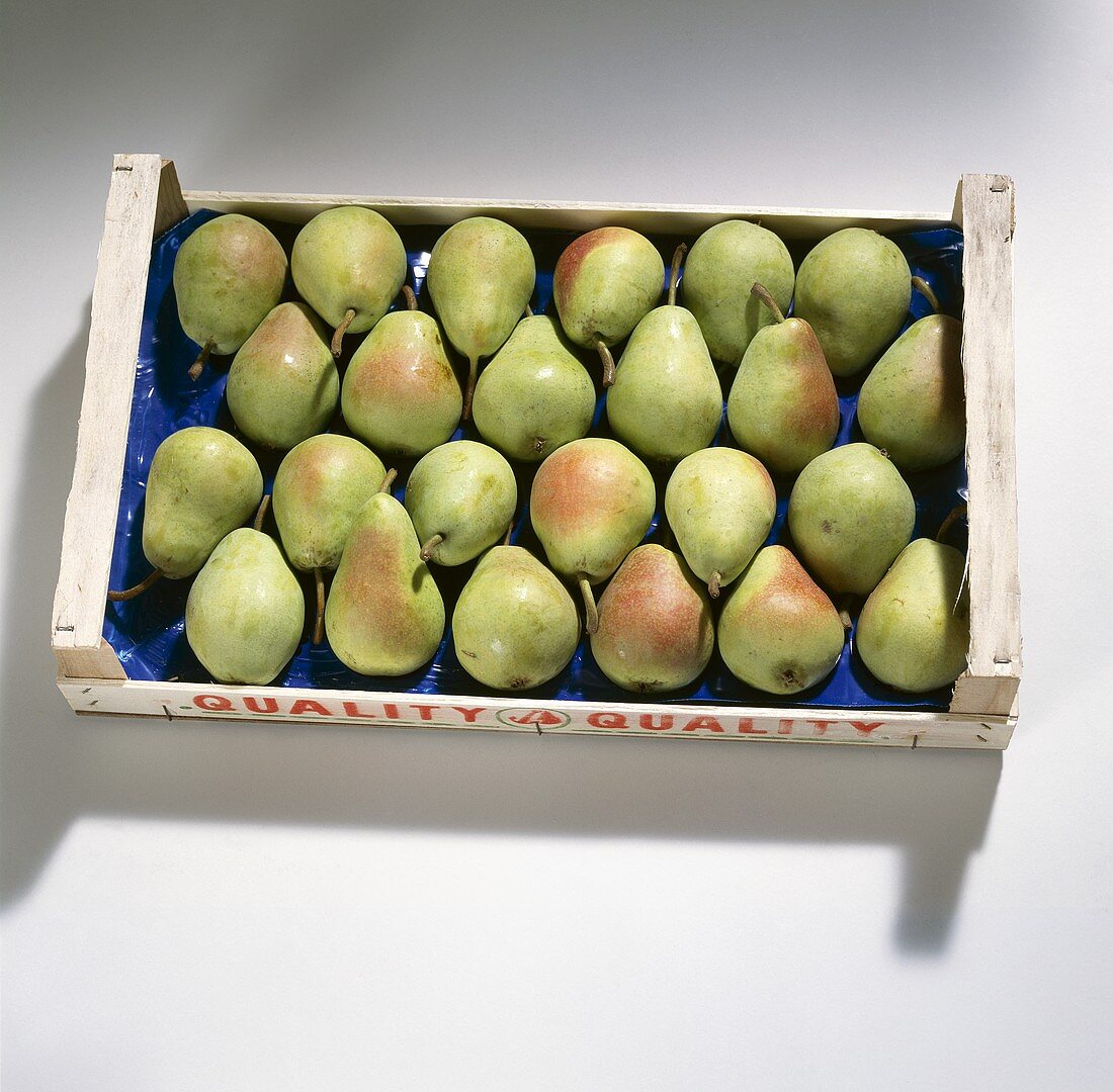 A box of pears (variety: Santa Maria)