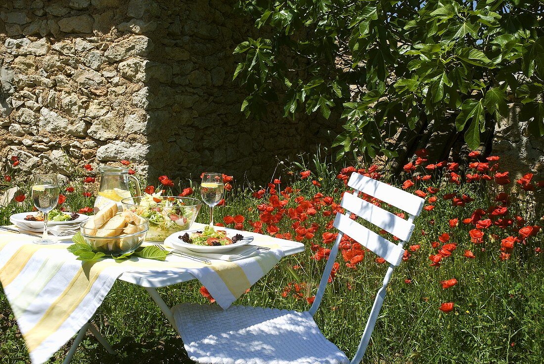 Gedeckter Tisch im sommerlichen Garten