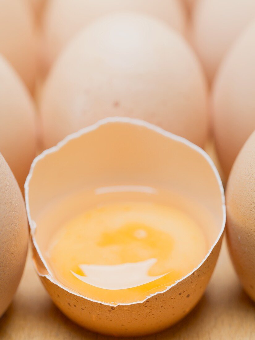 Frische braune Eier, eines aufgeschlagen