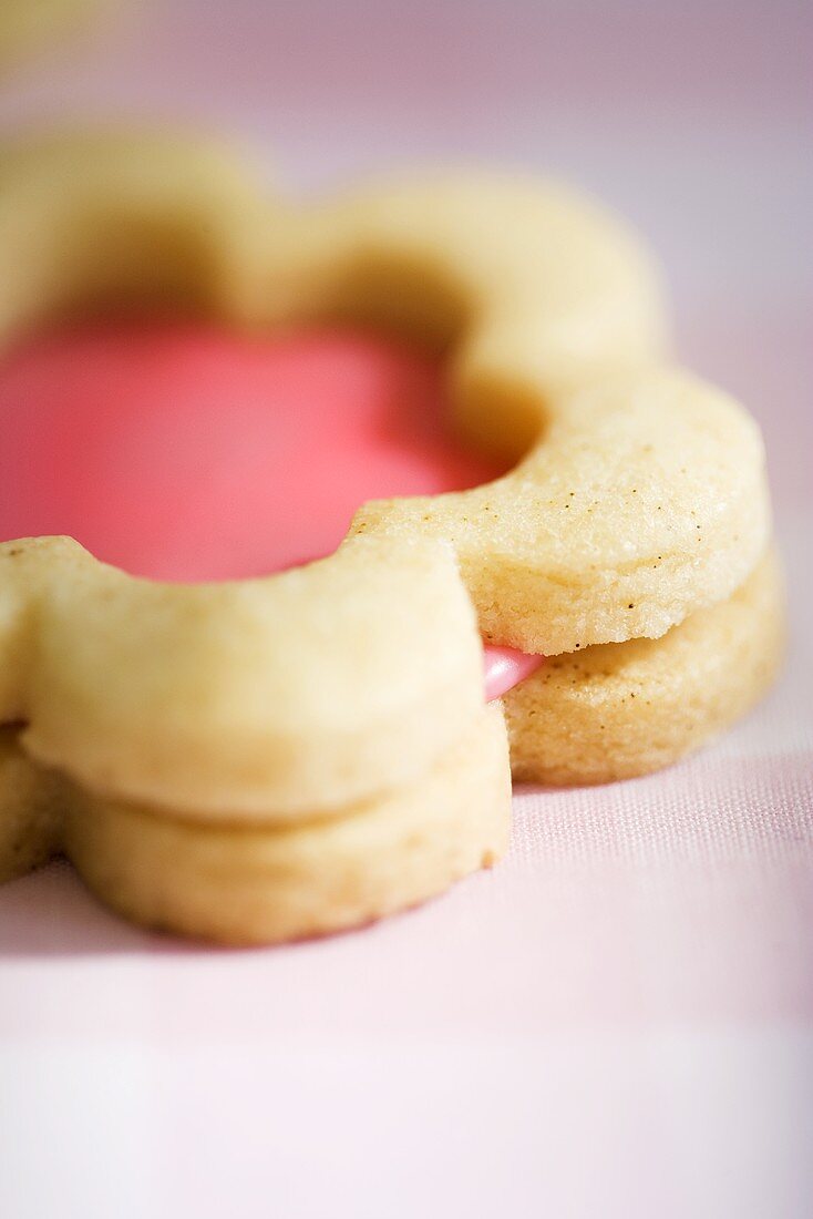 Cookie, gefüllt mit rosa Zuckerglasur (Close Up)