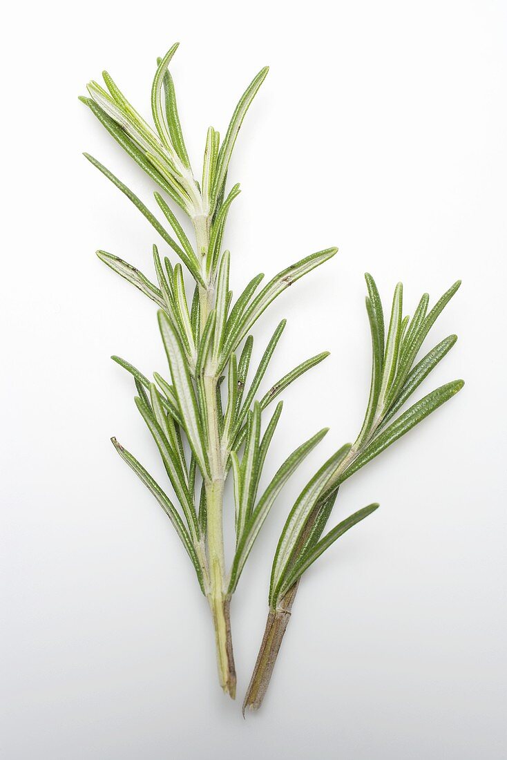 Two sprigs of rosemary