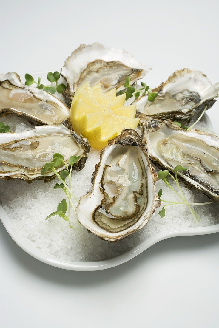 Fresh oysters with lemon on crushed ice