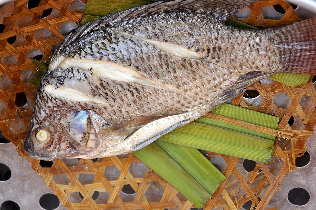 Gedämpfter Tilapia-Fisch