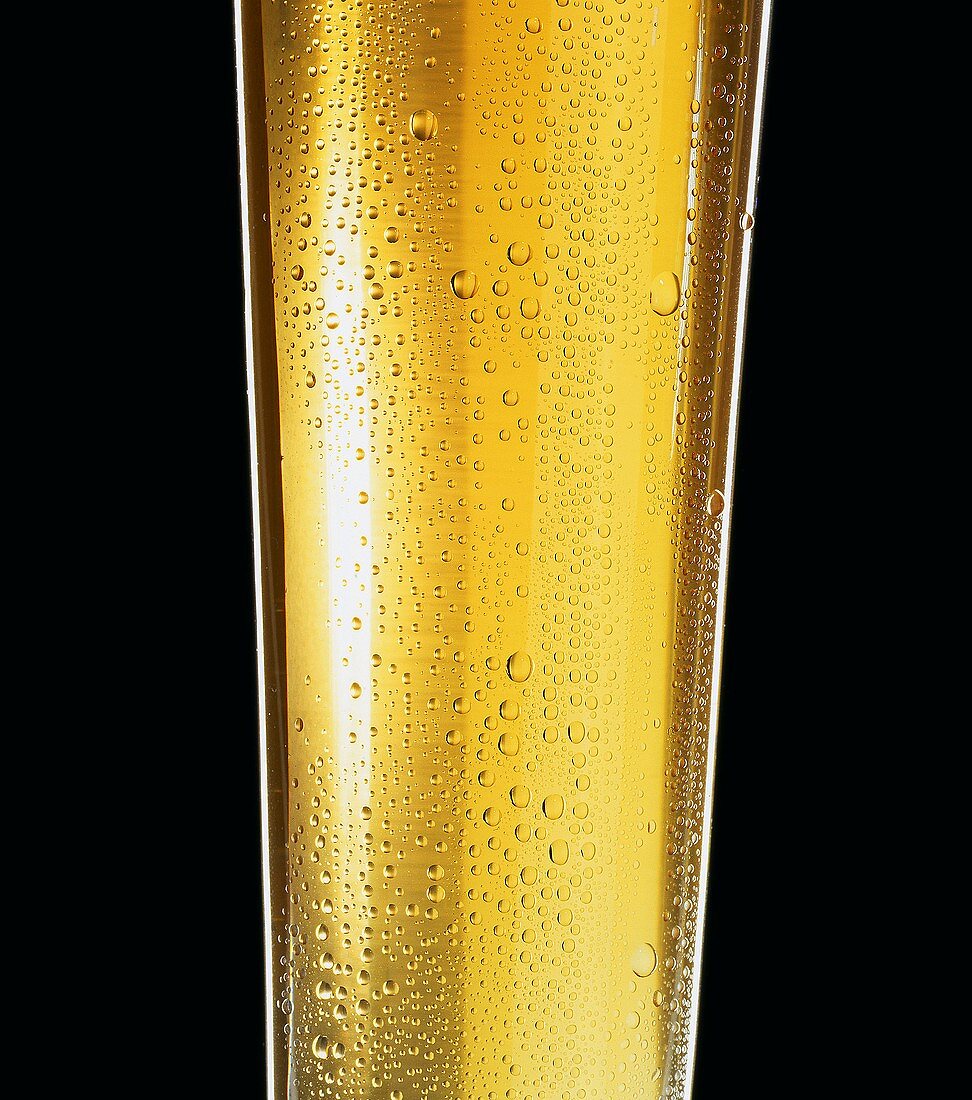 Glass of pils with condensation (detail)