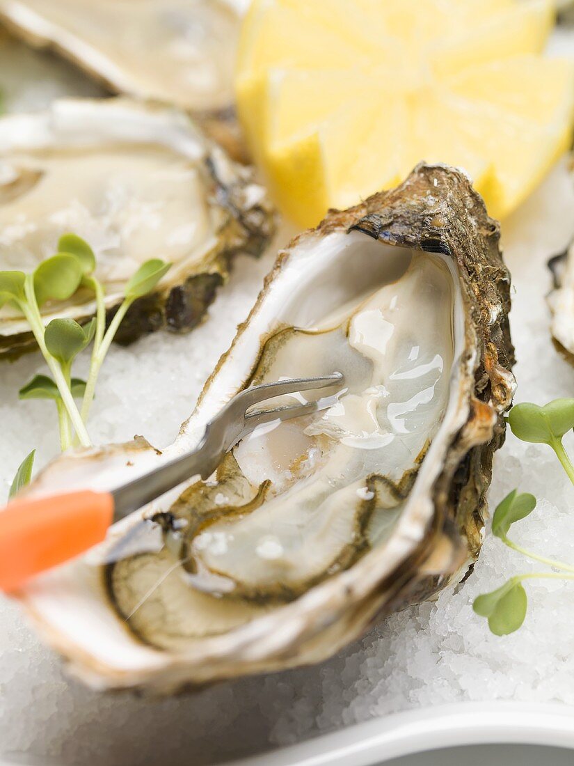 Fresh oysters with cress and lemon