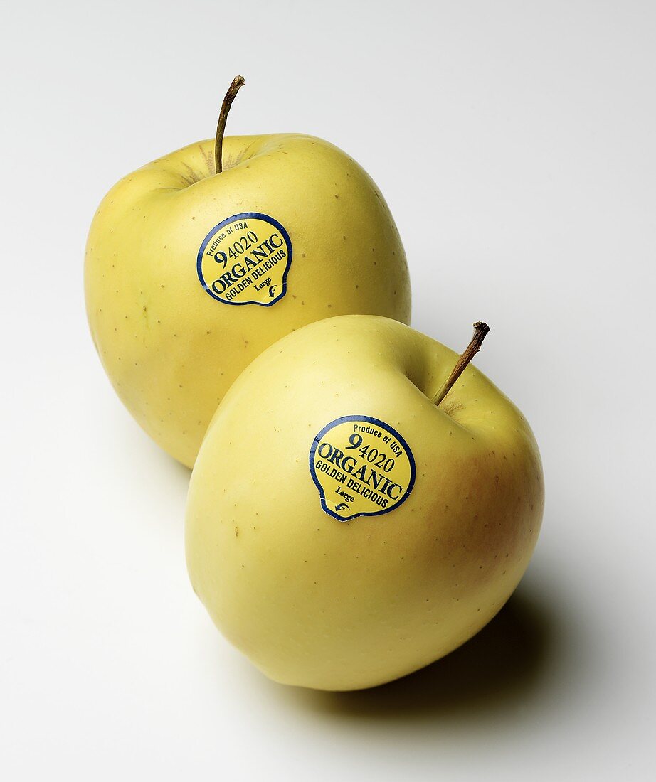 Zwei Golden Delicious Äpfel mit Bio-Etikett