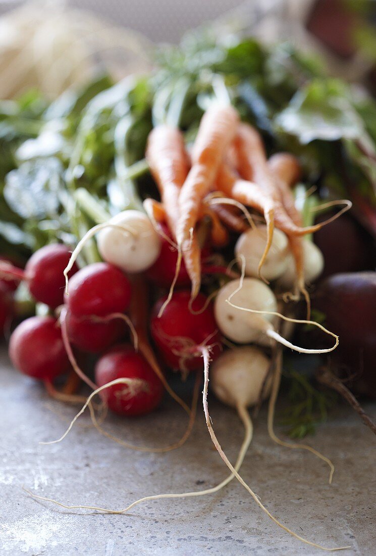 Radishes and carrots