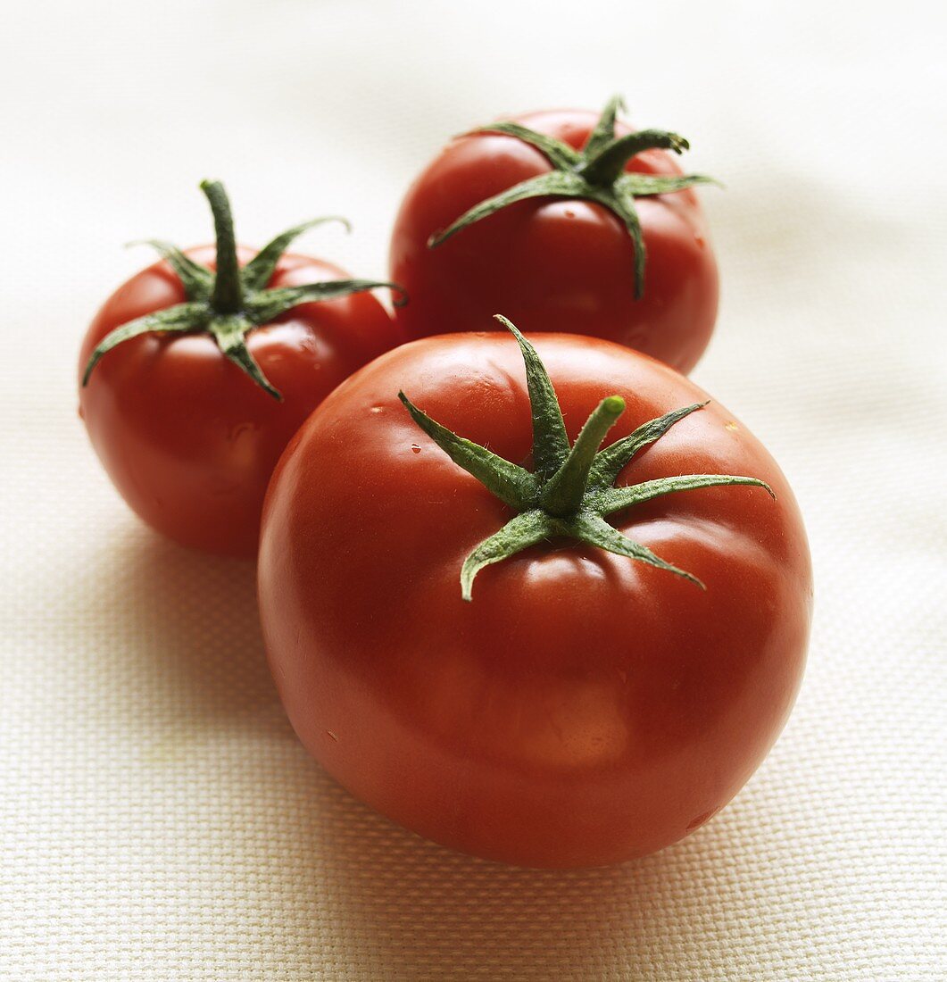 Three Red Tomatoes in Varying Sizes