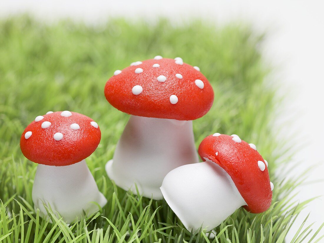 Lucky charms (fly agaric mushrooms) in grass