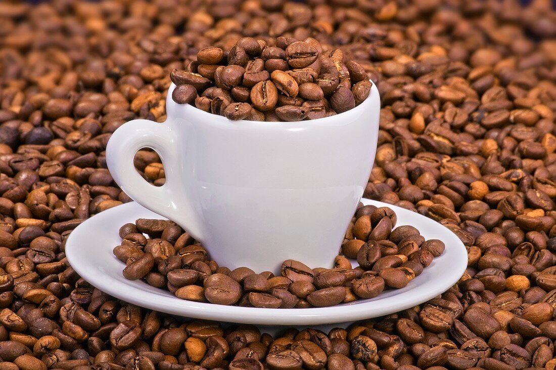 Coffee beans in espresso cup and saucer