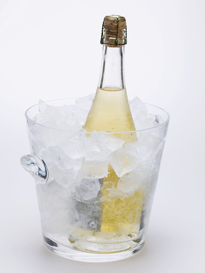 Bottle of sparkling wine in ice bucket