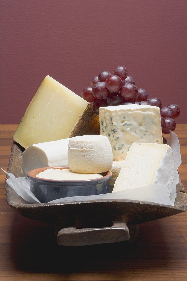 Cheese still life with red grapes
