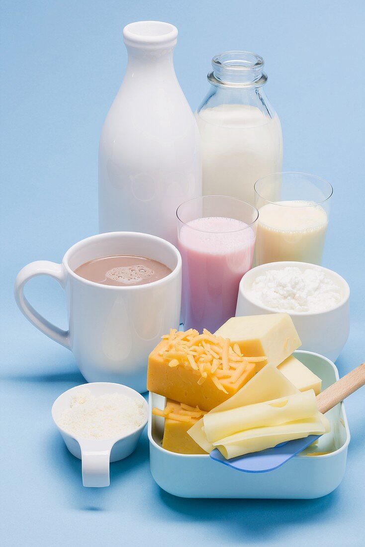 Various dairy products, cheese and milkshakes