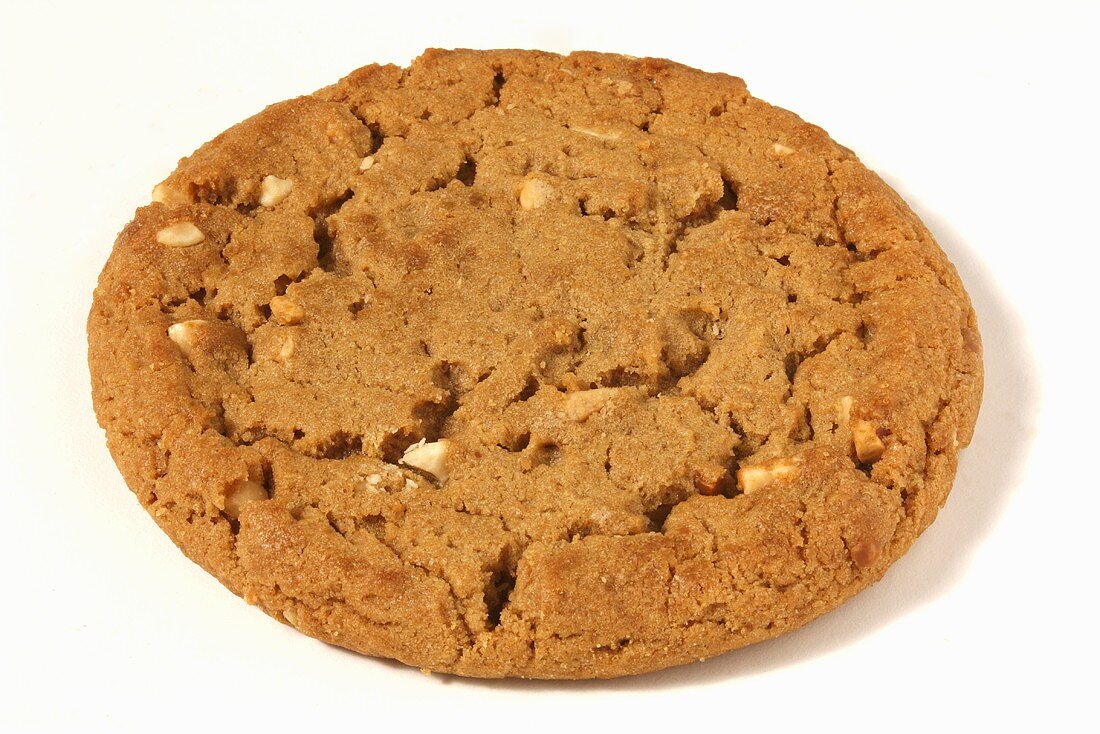 A Single Peanut Butter Cookie on White