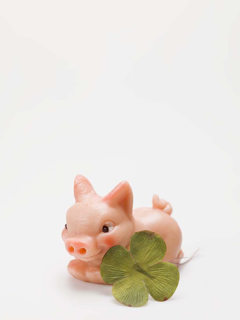 Marzipan pig and four-leaf clover