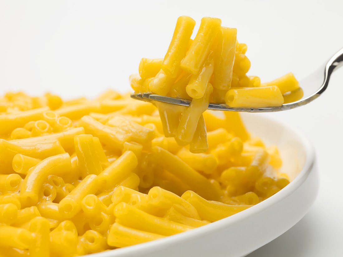 A forkful of macaroni and cheese