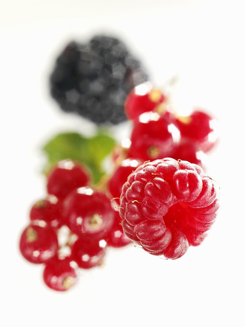 Raspberry, redcurrants and blackberry (close-up)