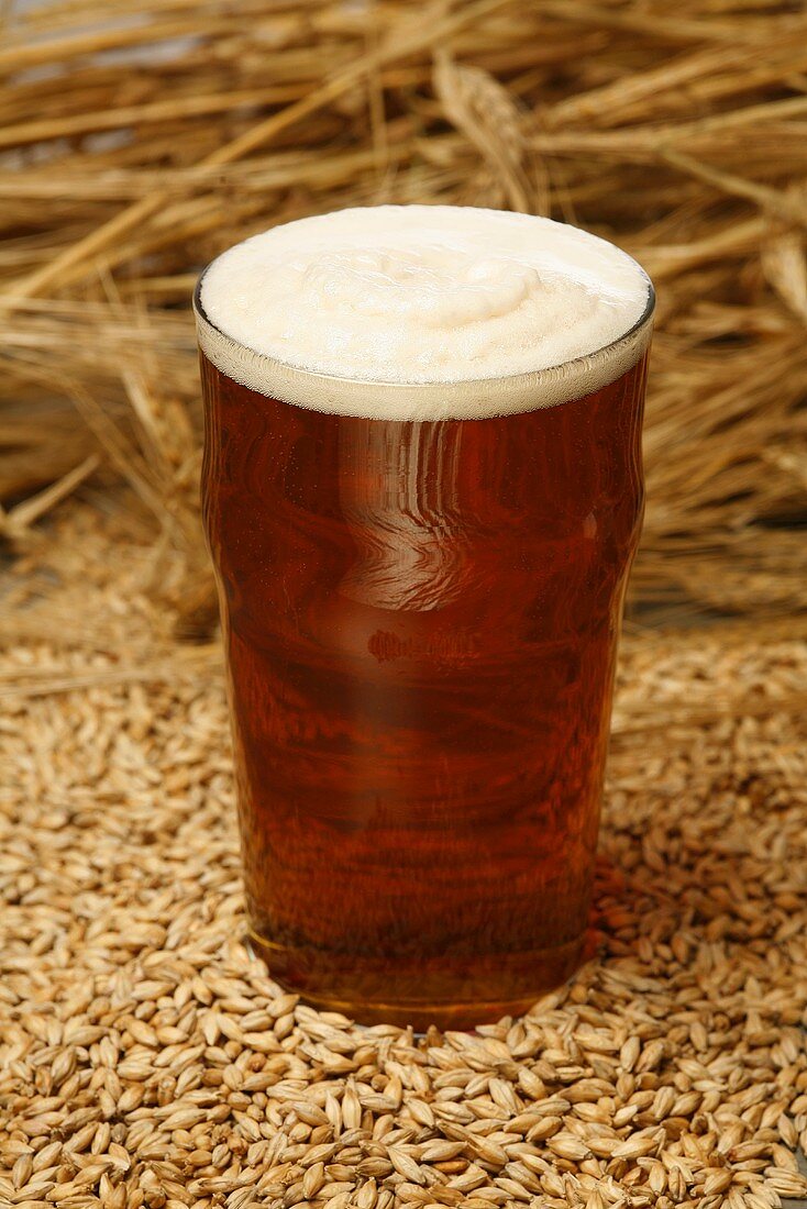 Ein Glas Ale (Bier, England) auf gemälzter Gerste