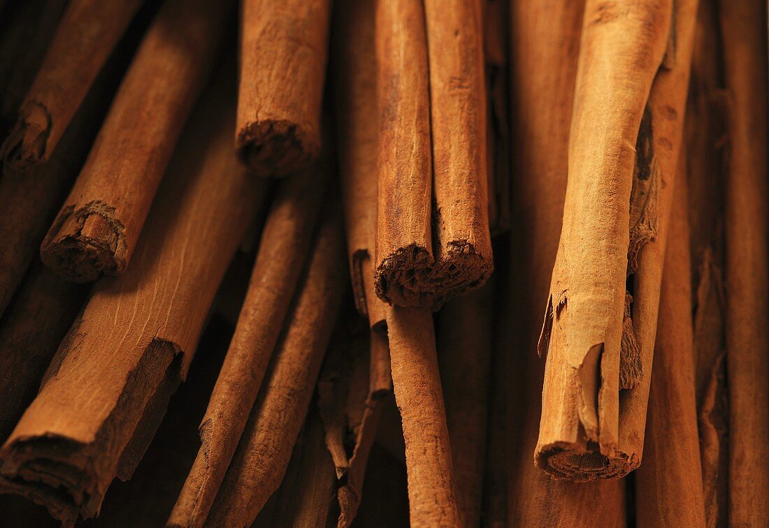 Cinnamon sticks (close-up)