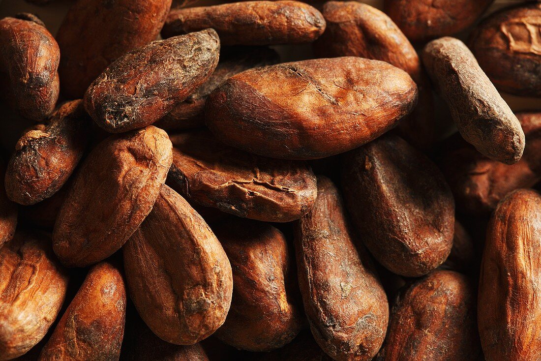 Viele Kakaobohnen (Close Up)