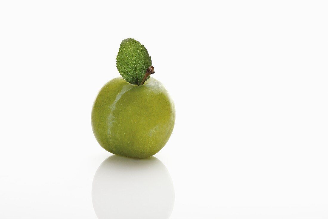 A greengage with leaf