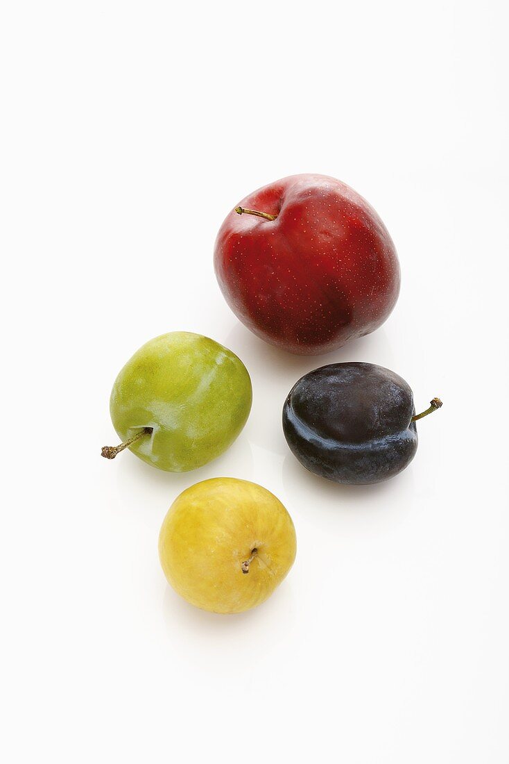 Red plum, yellow plum, damson and greengage