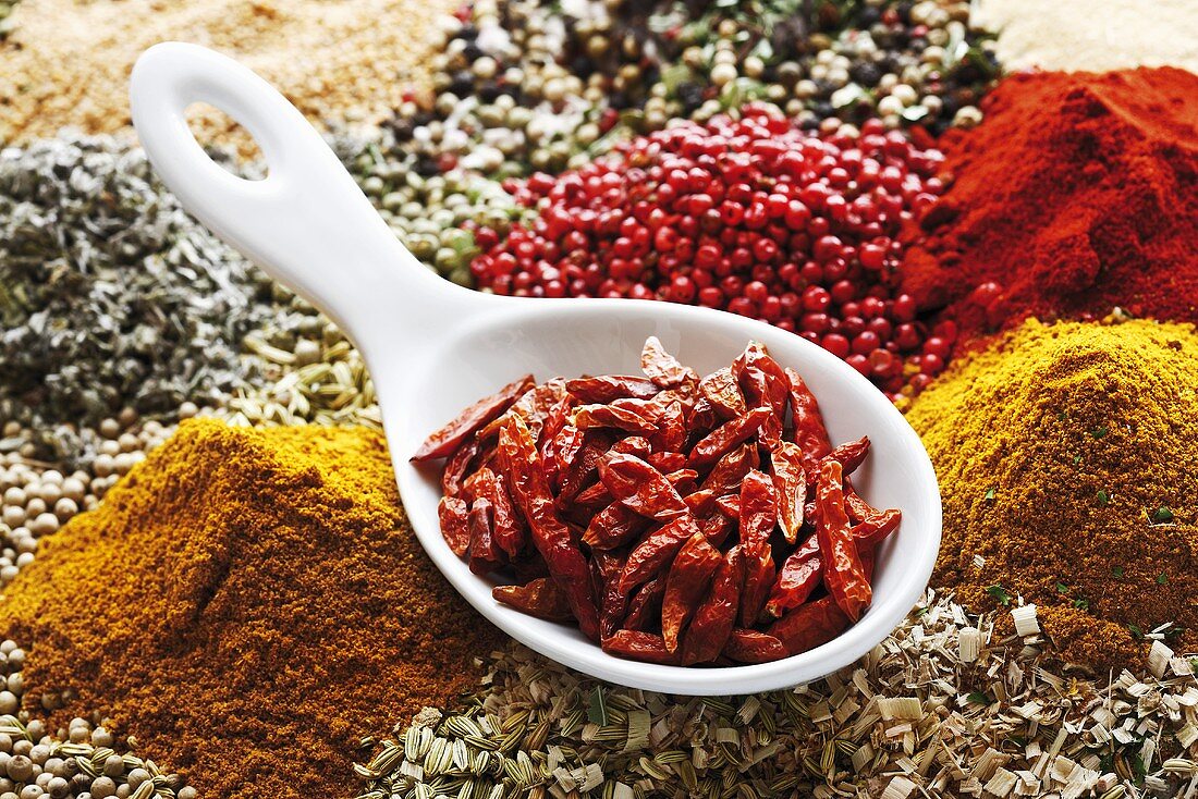 Dried chillies in spoon on assorted spices