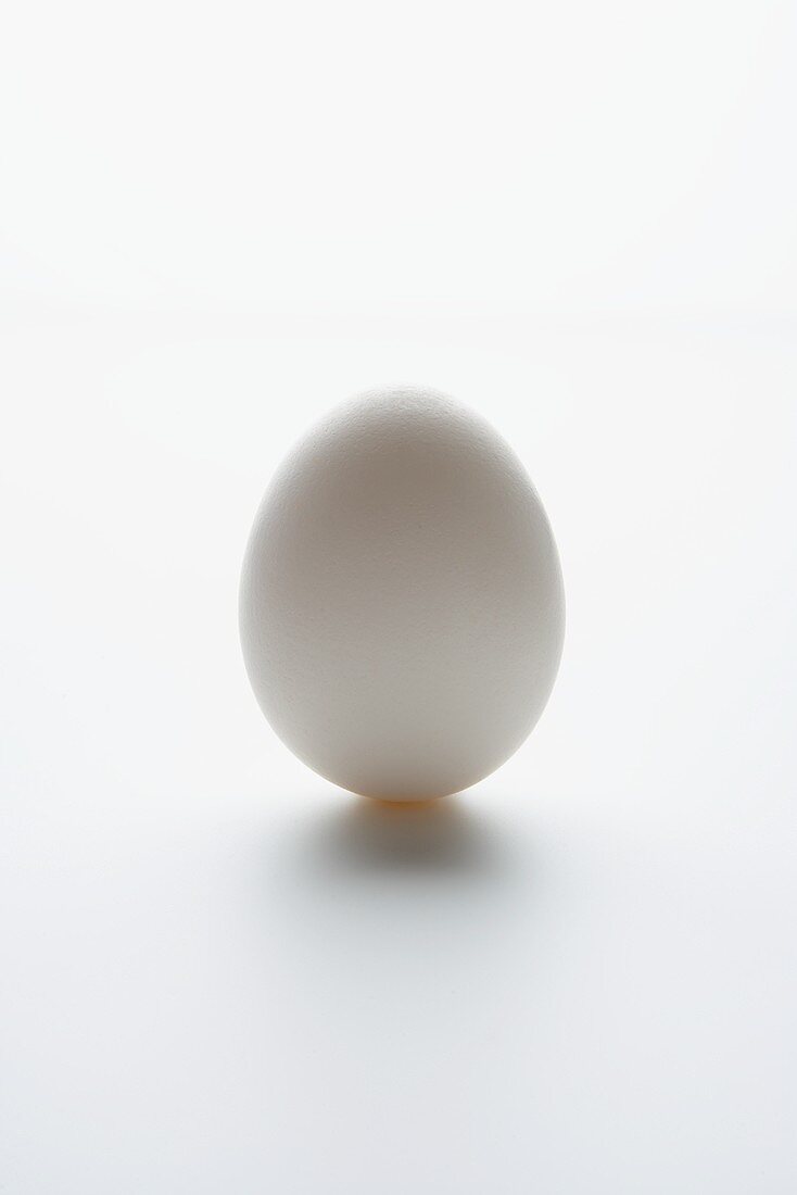 A Single White Egg