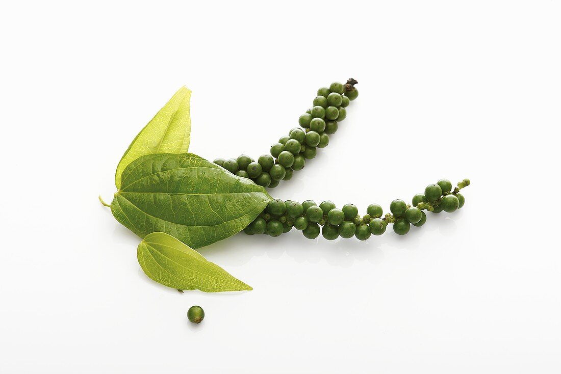 Clusters of green peppercorns with leaves