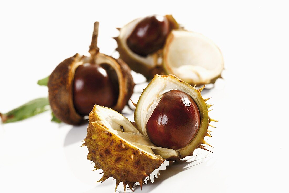 Horse chestnuts, with opened shells