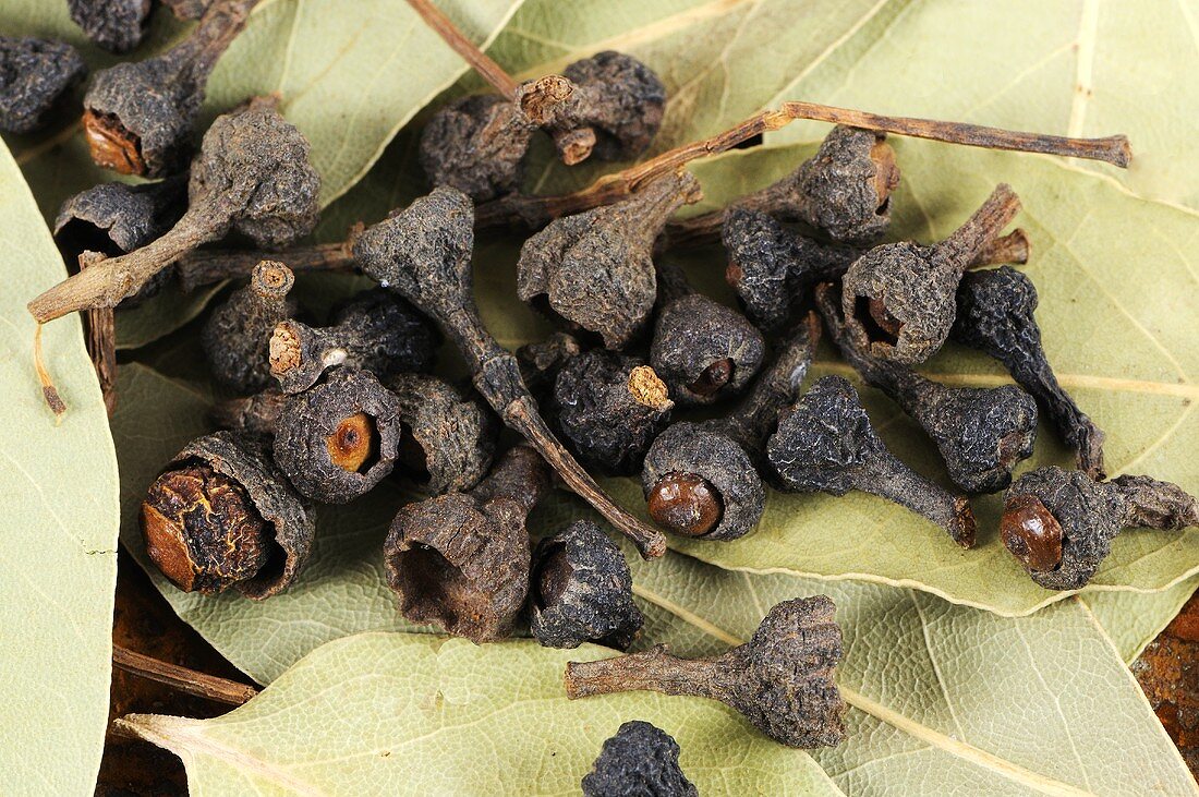 Dried cinnamon buds (close-up)