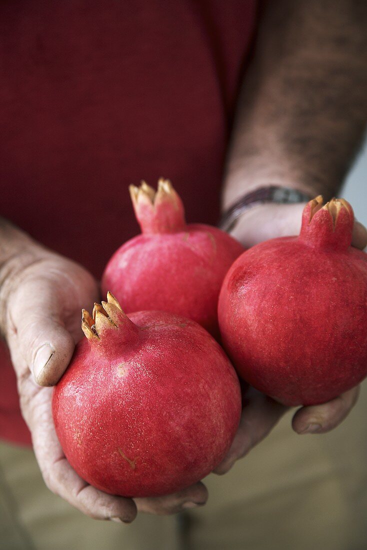 Hands holding three pomegranates