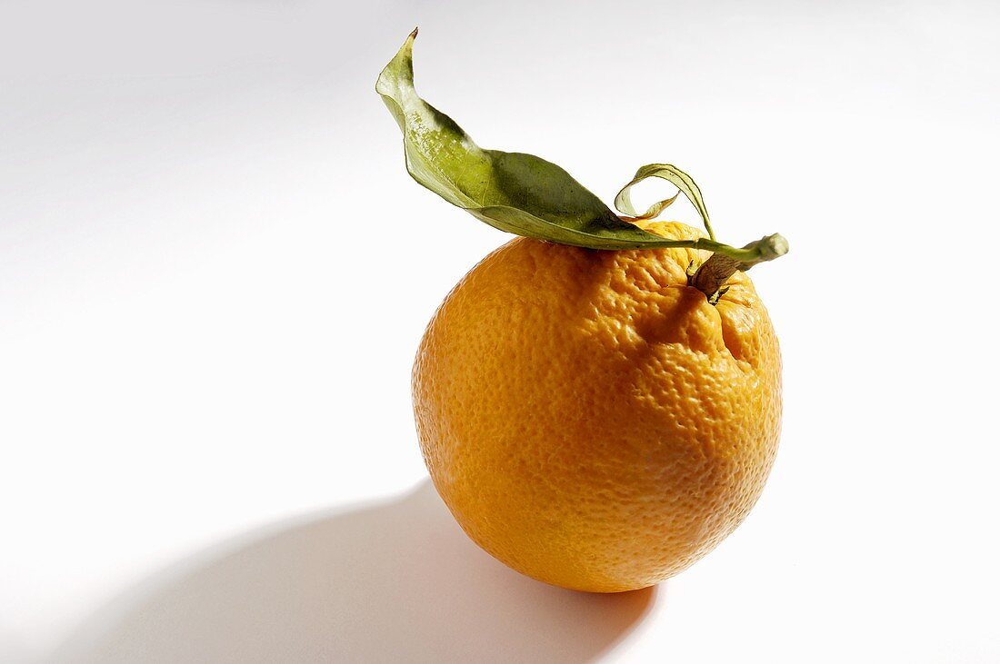 An orange with a dried leaf