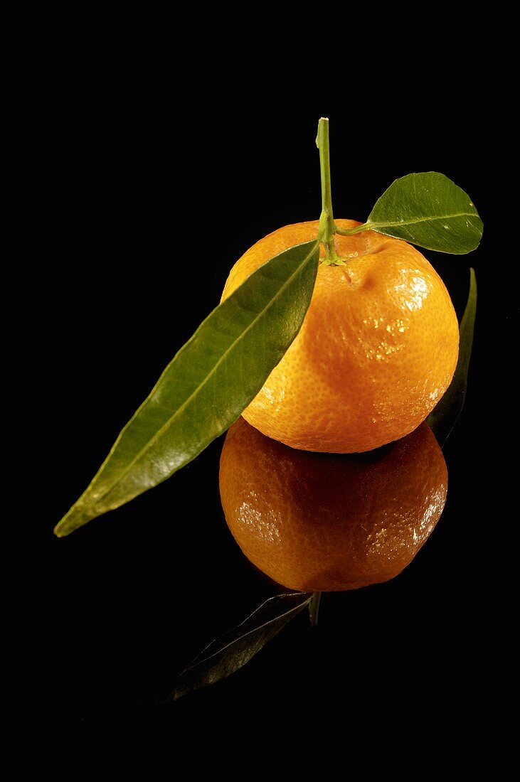 A mandarin orange with leaves on black background