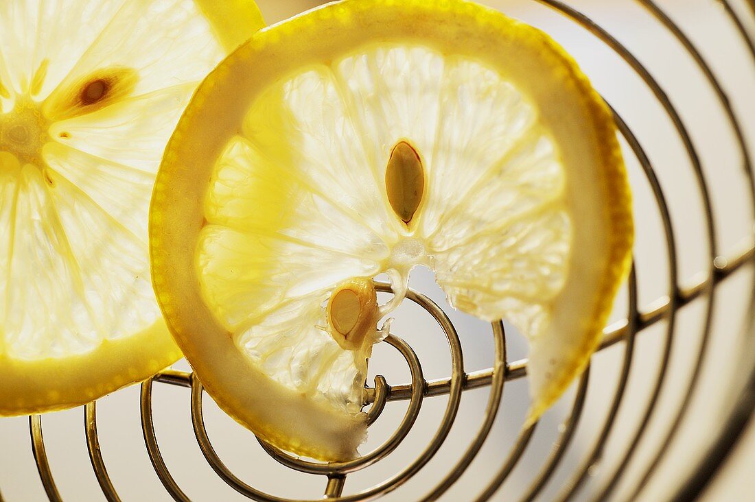 Lemon slices on skimmer (close-up)