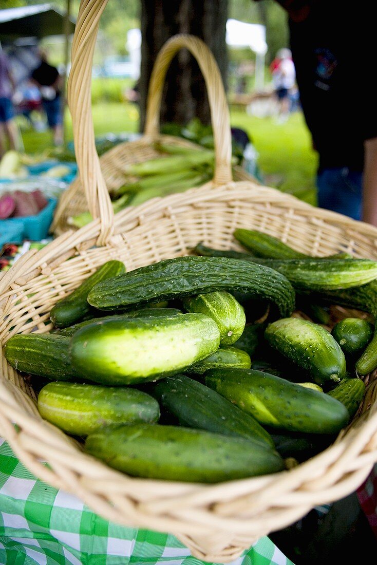 Frische Gurken im Korb auf einem Bauernmarkt