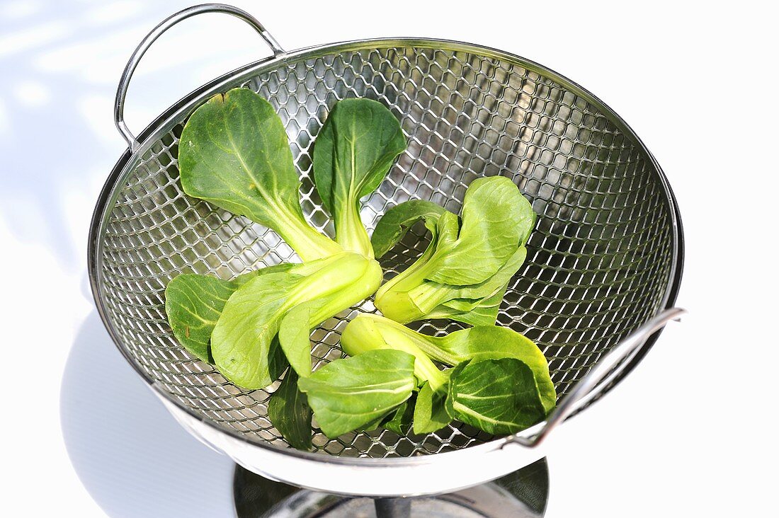 Pai Tsai (Chinese cabbage)