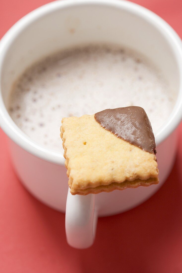 Biscuit on cup of cocoa