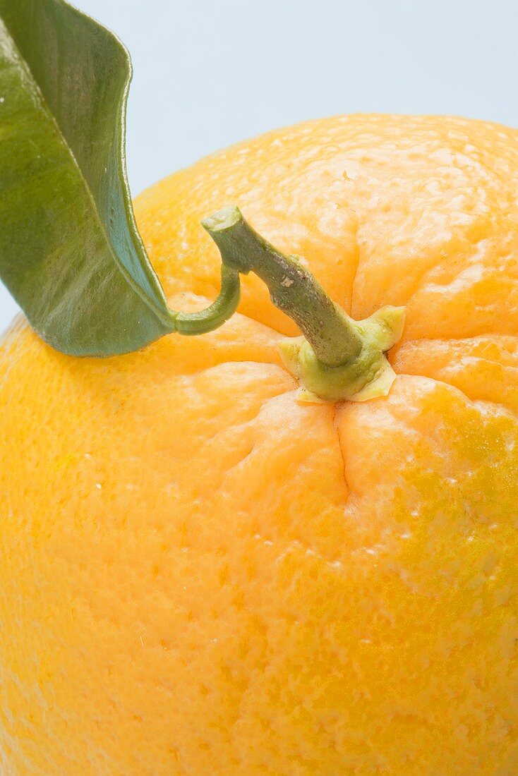 Orange mit Stiel und Blatt (Close Up)