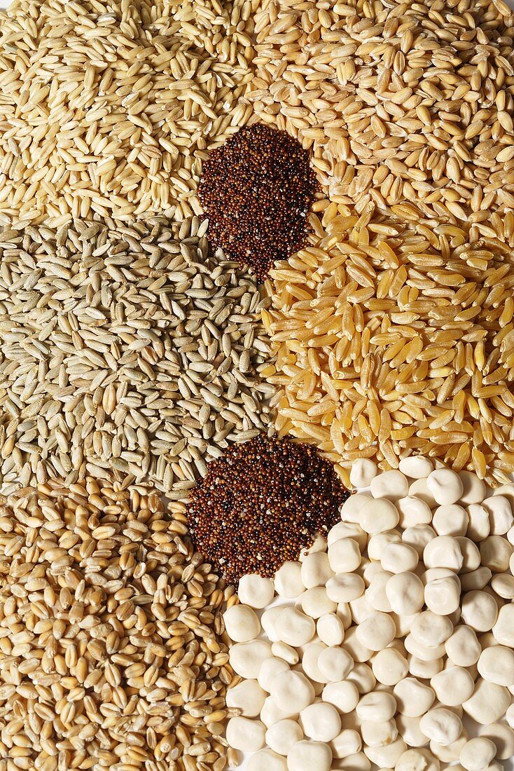 Seven different types of cereal grains (full-frame)