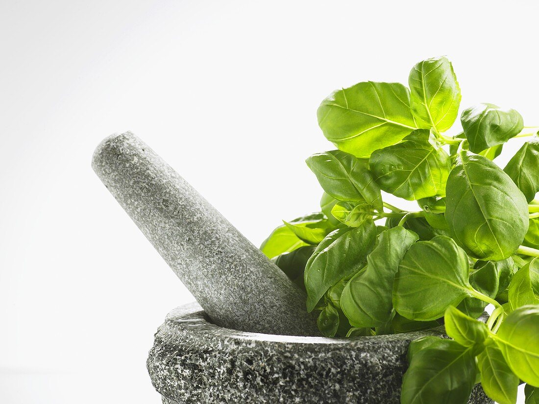 Fresh basil with stone mortar and pestle
