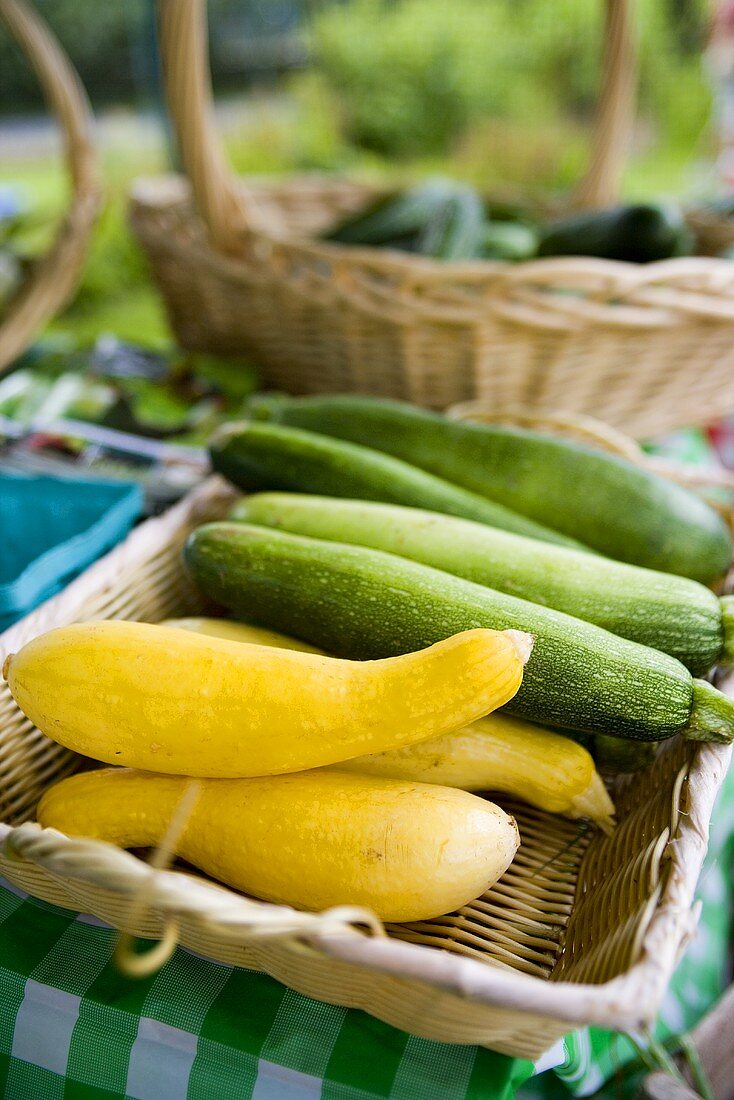 Summer Squash and Zucchini in Basket at Farmer's Market