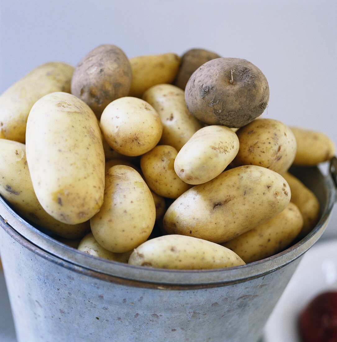 Potatoes in a bucket