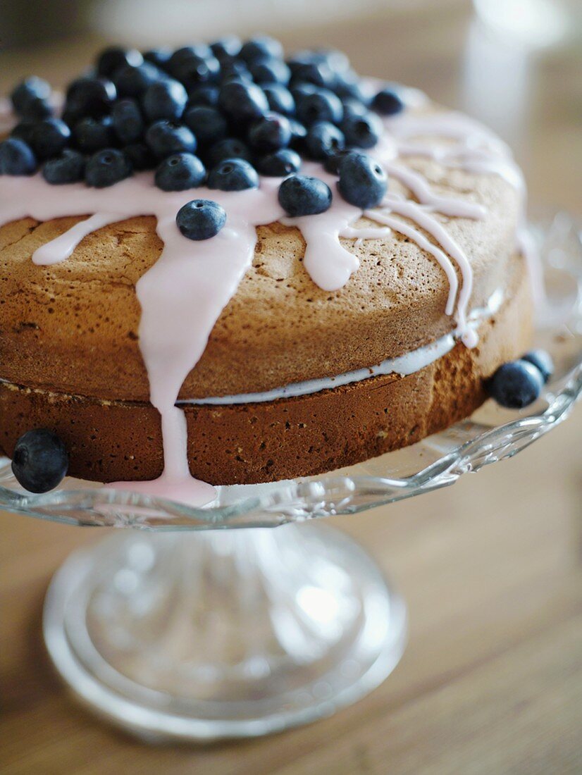 Blueberry cake