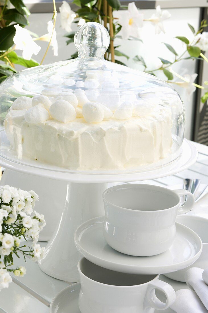 Cream cake under cake cover, coffee cups
